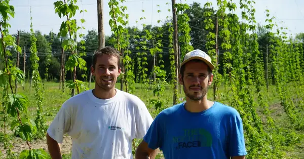 Tête Haute : brasserie houblonnière solidaire