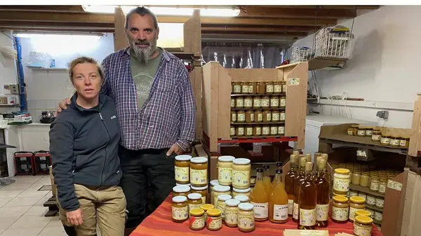 Des ruches dans le jardin 